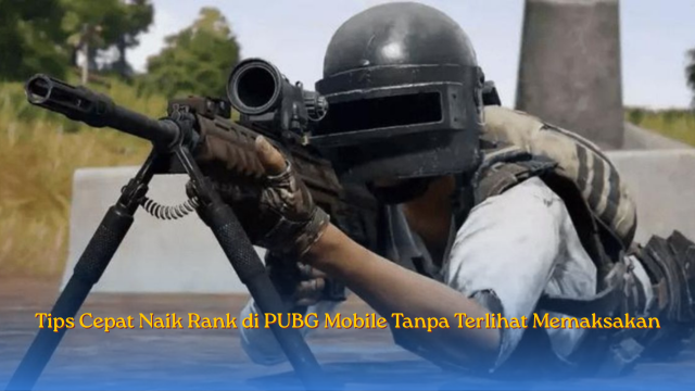 Tips Cepat Naik Rank